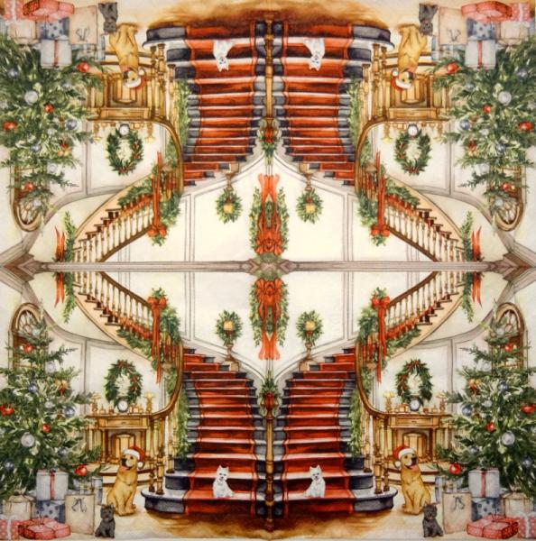 HUN-789 Hunde - 3-lagig - Ti-Flair